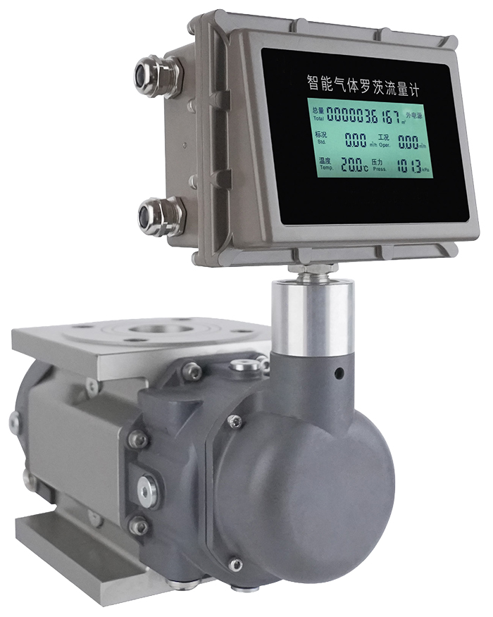 DN40氣體羅茨流量計產(chǎn)品圖片